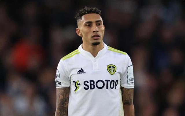 更是乒乓球 更是乒乓球