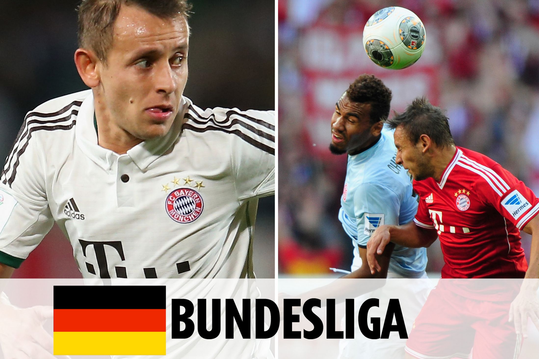 能放大这件 能放大这件