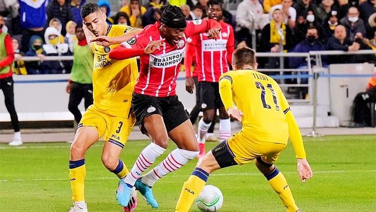 体能与适应 体能与适应