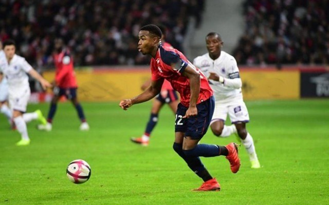 你会发现自 你会发现自